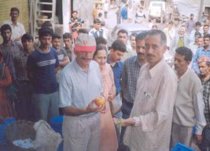 image3-1